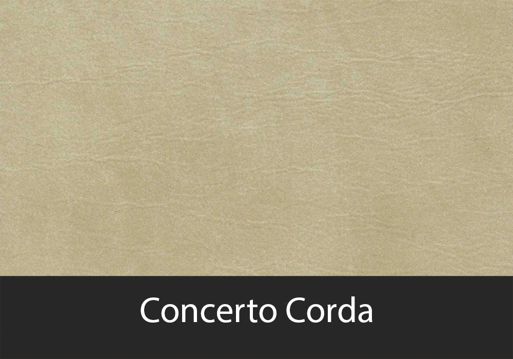 Concerto Corda